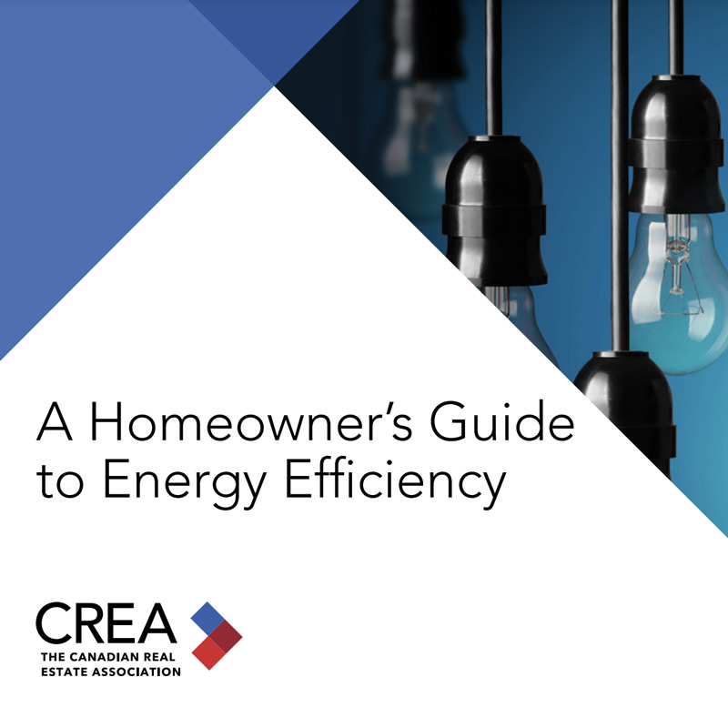 A Homeowner's Guide to Energy Efficiency (PDF)